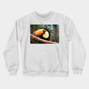45 toucan Crewneck Sweatshirt